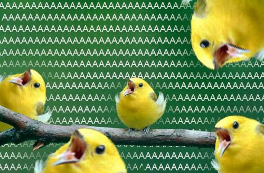 Header Image